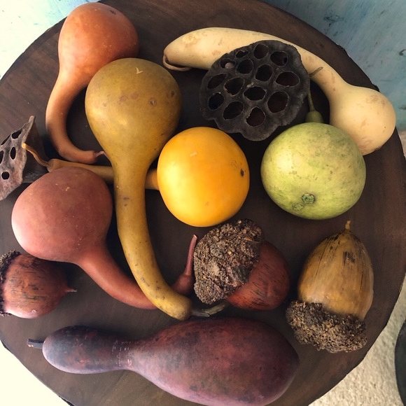 Bundle of beautiful harvest items in shades of sienna, brown, yellow, & green - Picture 2 of 16